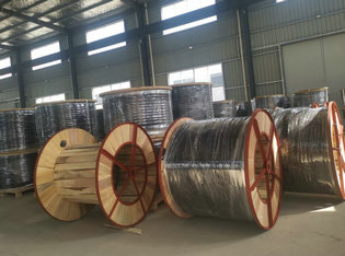 PVC Coated Stainless Steel Tubing Coil PVC Jacketed Seamless or Welded ASTM A269 TP304 316L with BA Surface